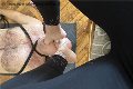Foto Immagine Julia Mistress Cuneo - 12