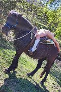 Foto Immagine Karyna Escort Chiavari - 35