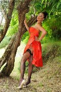 Foto Immagine Keylla Marques Pornostar Xxl Trans Fortaleza - 65