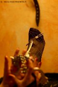 Foto Immagine Lady De Sade Italy Mistress Marina Di Carrara - 22