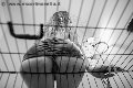 Foto Immagine Lady Giuliette Mistress Verona - 13