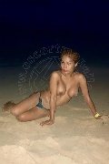 Foto Immagine Liisa Orientale Asiatica Ladyboy Trans Genova - 428