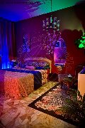 Foto Immagine Lisa Valle Trans Savona - 1