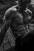Foto Immagine Luca Ferrari Boys Verona - 19