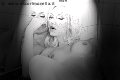 Foto Immagine Mary Ts Trans Francoforte - 25