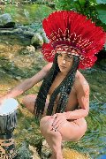 Foto Immagine Miss Pocahontas Trans Siena - 71