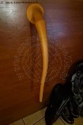 Foto Immagine Mistress Diana Queen Mistress Verona - 12