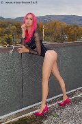 Foto Immagine Nady Trans Vicenza - 103