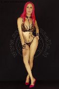 Foto Immagine Nady Trans Vicenza - 155