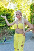Foto Immagine Nina La Divina Trans Ibiza - 9