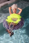 Foto Immagine Nina La Divina Trans Ibiza - 85