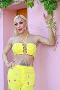 Foto Immagine Nina La Divina Trans Ibiza - 7