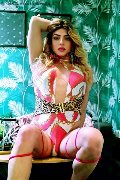 Foto Immagine Ninah Fox Trav Glasgow - 28