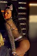 Foto Immagine Paula Xxl Trans Cannes - 51