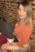 Foto Immagine Rayca Trans San Gallo - 157