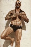 Foto Immagine Robby Torello Boys Pisa - 8