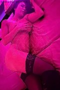 Foto Immagine Rose Rose Girl Trento - 15