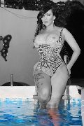 Foto Immagine Rossana Bulgari Italiana Trans Foggia - 519