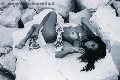 Foto Immagine Sabrina Hemolly Trans Milano - 83