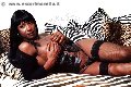 Foto Immagine Serena Xl Trans Malnate - 4