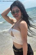 Foto Immagine Thays Trans Rimini - 73