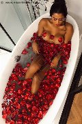 Foto Immagine Violeta Trans Termoli - 11