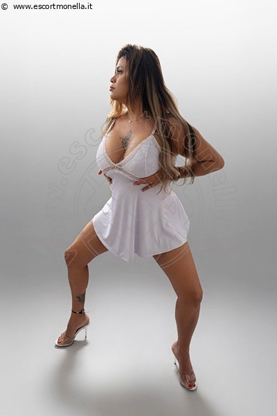 Marcella Mendez CURITIBA 00554188248523