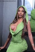 Foto Immagine Barbie Black Trans Milano - 44