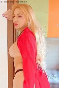 Foto Immagine Camelia Trans Nettuno - 71