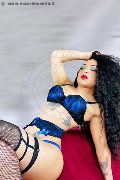 Foto Immagine Dior Trans Genova - 249