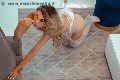 Foto Immagine Eduarda Vogue Trans Alessandria - 86