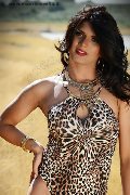 Foto Immagine Flavia Bambola Trav Bologna - 88