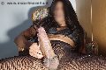 Foto Immagine Hot Giulia Cavali Attiva Trav Milano - 186