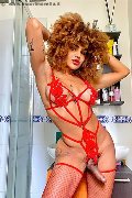 Foto Immagine Hot Stella Trans Milano - 5