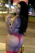 Foto Immagine Mia Latina Trans Agrigento - 9