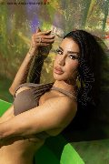 Foto Immagine Nicole Andrade Trans Milano - 13