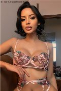 Foto Immagine Sonya Escort Udine - 1