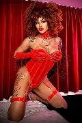 Foto Immagine Stella Trans Milano - 16