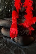Foto Immagine Tiny Mouse Escort Venezia - 4